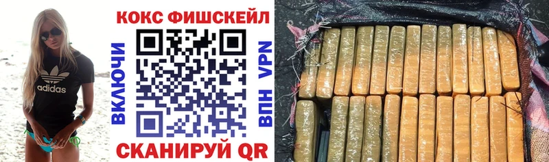 Купить закладки  Волжск  Кокаин Эквадор 