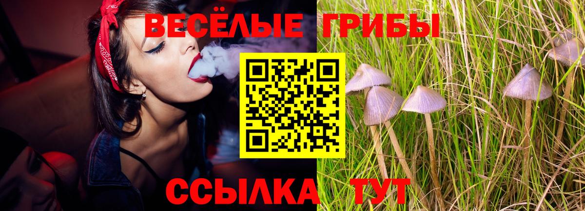 Галлюциногенные грибы GOLDEN TEACHER  Вход с VPN  Волжск 
